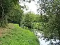Belmer Bach im Fledder kurz vor dem Mündungsbereich