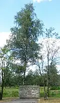 Kurz vor dem Gedenkstein am Eingang zum historischen Lagergelände des KZs Bergen-Belsen verlief die Lagergrenze