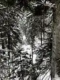 Graben des Benebachs, Zufluss zum Gassenbach