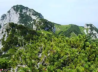 Im Hintergrund die Benediktenwand (1800 m). Im Mittelgrund (links und in der Mitte) ist der Wegverlauf des Steigs über zwei der drei Achselköpfe zu erkennen.