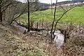LSG Vormholz-Waldungen/Muttental-Waldungen/Muttenbach