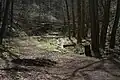 Wanderweg im NSG