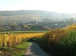 Blick auf Bergbieten
