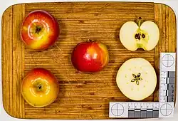 Ansicht der Frucht
