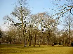 Ernst-Grube-Park