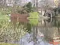 Lietzensee mit Lietzenseebrücke der Neuen Kantstraße