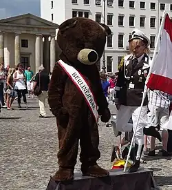 Bär als Kostüm