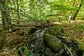 Kleiner Bach