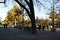 Münsterplattform im Jahr 2013