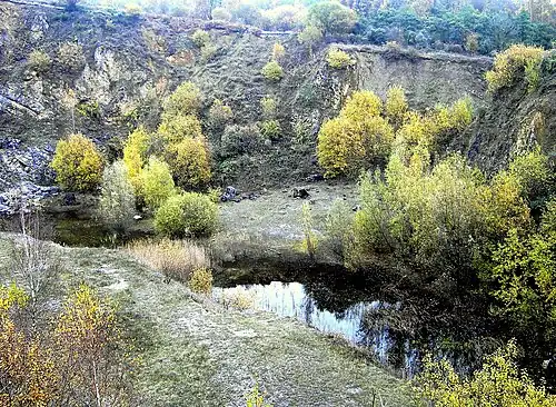 2007