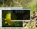 Echte Transparenz