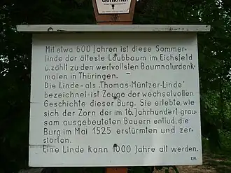 Tafel vor der Thomas-Müntzer-Linde
