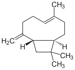 β-Caryophyllen