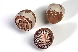 Betelnüsse aus Indien