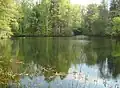 Teich am Turbinenhaus