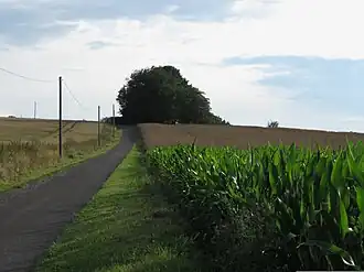 Der Bickplecken am frühen Abend