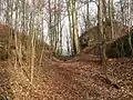 Der Halsgraben