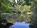 Unterer Senkelteich.