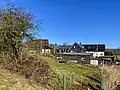 Biesenbach