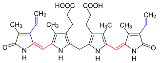 Bilirubin