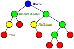 Binärbaum mit Knotentypen