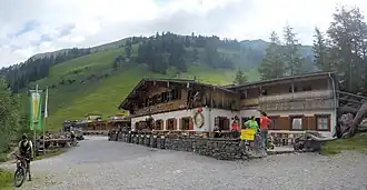 Binsalm