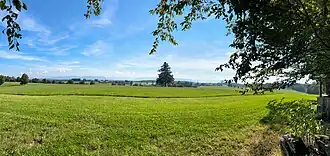 Binsberg