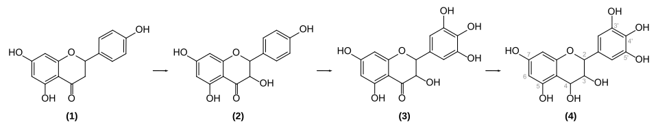 Biosynthese von Delphinidin-3-O-glucosid