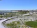 Vogelschutzgebiet des Lambert’s Bay Bird Island Nature Reserve