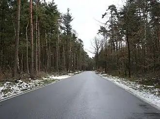 Der Riesenbecker Postweg auf dem Gipfel des Birgter Berges