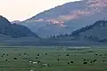 Sonnenaufgang über dem Lamar Valley