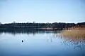 Ruhiger Bistensee am Abend