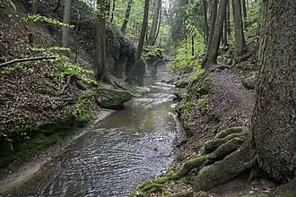 Wanderweg im Tal