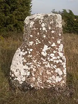 Björnflisan