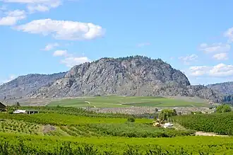 Die Rolling Hills von Okanagan Falls mit dem Peach Cliff im Hintergrund