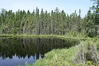 Die Blackjack Springs Wilderness