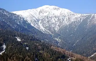 Blaser von Osten
