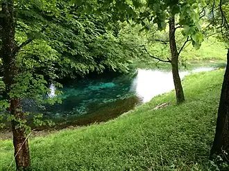 Blaue Quelle, eine Karstquelle im Unterinntal