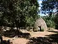 Runde capitelle
