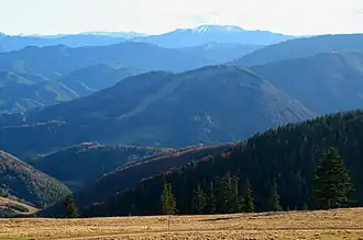 Blick vom Eisenstein zum Eibl mit den ehemaligen Schipisten, im Hintergrund der Göller
