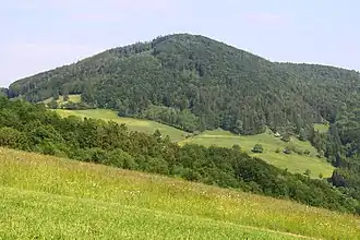 Ansicht des Gföhlbergs von Westen