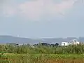 Blick von der Rheinebene bei Eich auf den Windpark