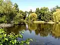 Holzbrücke im Hintergrund am nördlichen Ende des Südparkteichs