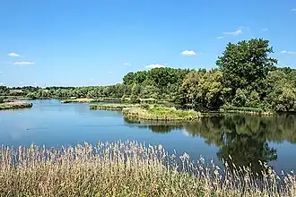 Vogelschutzgebiet Garstadt, im Hintergrund links Weinberge bei Garstadt
