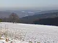 Blick vom „Scharpenacken“ unweit Konradswüste in das Wuppertal gen Osten