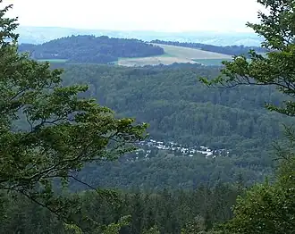 Milmesberg von Osten (vom Zollstock am Rennsteig)