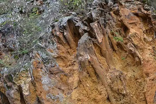 Am Grabenbruch: Naturdenkmal Blitzröhren