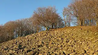 Blockhalde