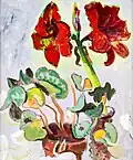 Amaryllis