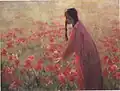 Mohnblumen